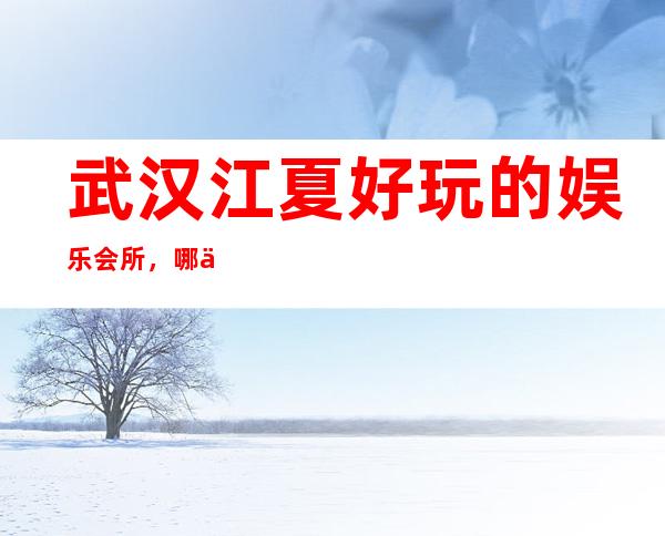 武汉江夏好玩的娱乐会所,哪个好玩 – 武汉江夏商务KTV