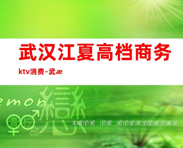 武汉江夏高档商务ktv消费 – 武汉江夏商务KTV