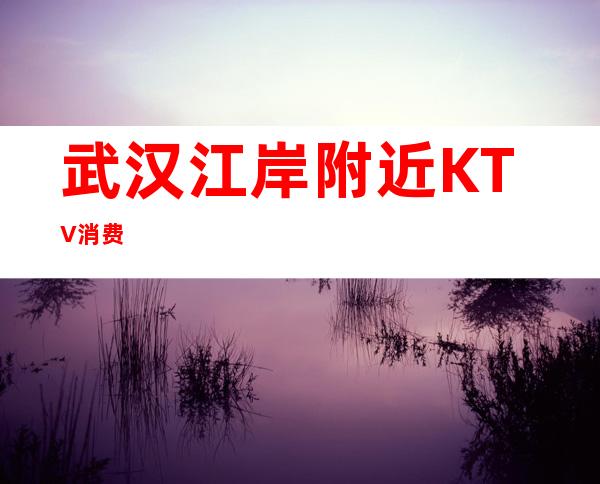 武汉江岸附近KTV消费