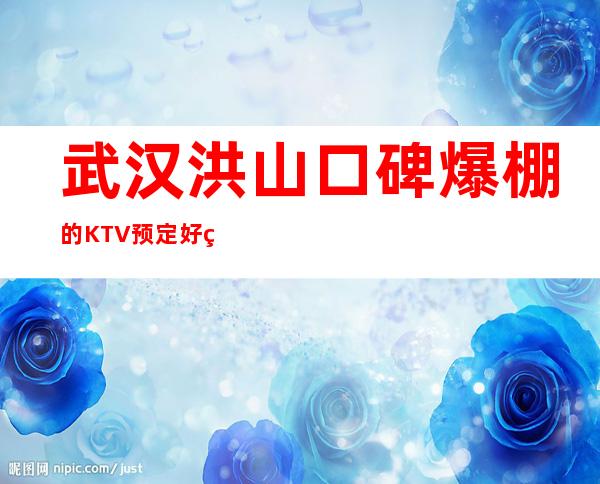 武汉洪山口碑爆棚的KTV预定好玩的 – 武汉洪山商务KTV