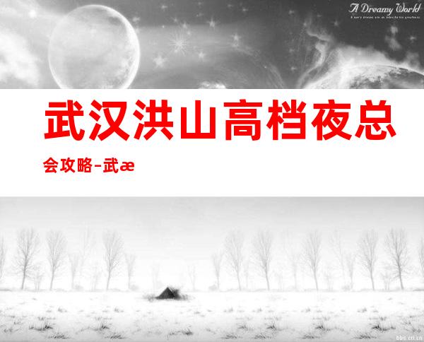 武汉洪山高档夜总会攻略 – 武汉洪山商务KTV