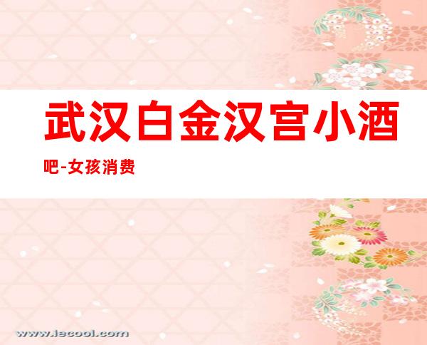 武汉白金汉宫小酒吧-女孩消费档次情况