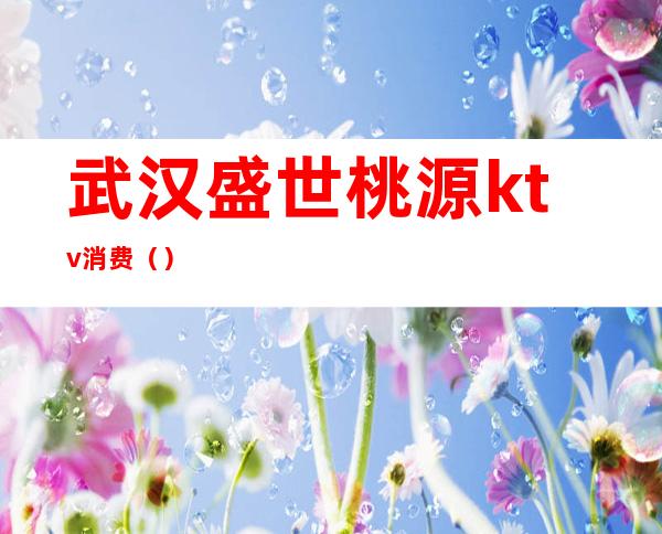 武汉盛世桃源ktv消费()