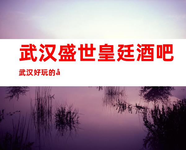 武汉盛世皇廷酒吧武汉好玩的十大酒吧