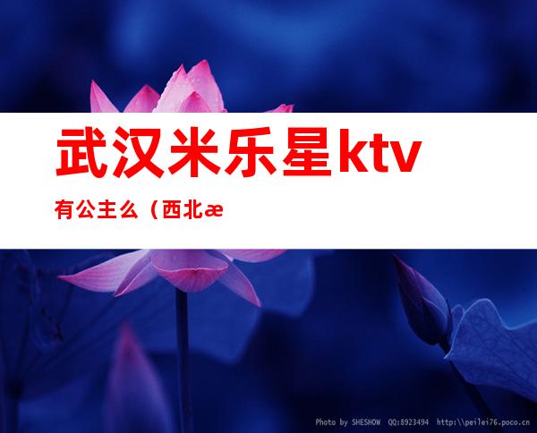 武汉米乐星ktv有公主么（西北湖米乐星ktv电话）