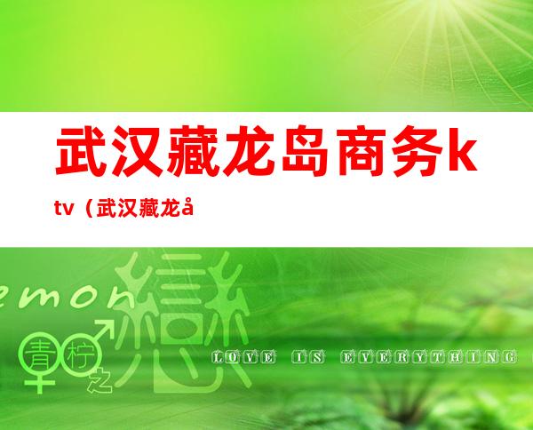 武汉藏龙岛商务ktv(武汉藏龙岛开发区)