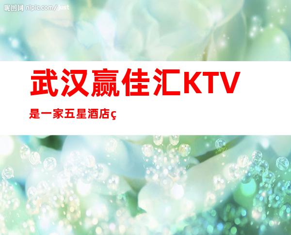 武汉赢佳汇KTV是一家五星酒店的商务夜总会排名介绍