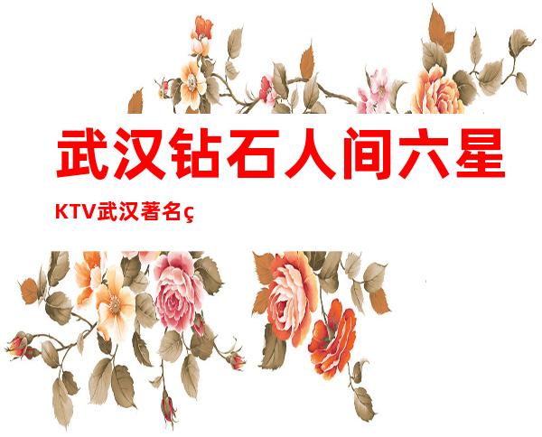 武汉钻石人间六星KTV武汉著名的商务KTV消费排行预定。