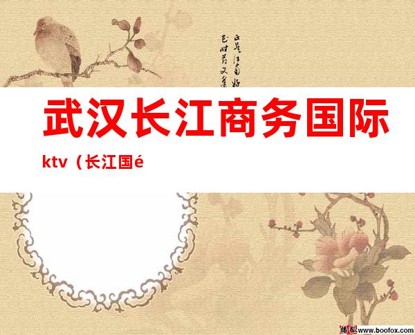 武汉长江商务国际ktv(长江国际金融投资(武汉)有限公司)
