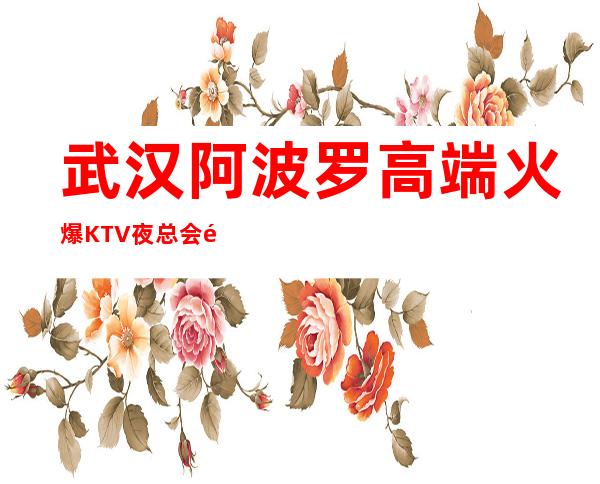 武汉阿波罗高端火爆KTV夜总会预定-接待客户必选场所