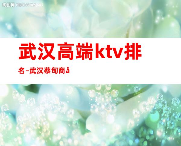 武汉高端ktv排名 – 武汉蔡甸商务KTV