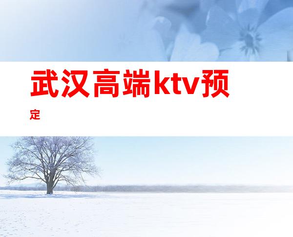 武汉高端ktv预定