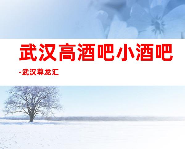 武汉高酒吧小酒吧-武汉尊龙汇休闲酒吧值得一去！