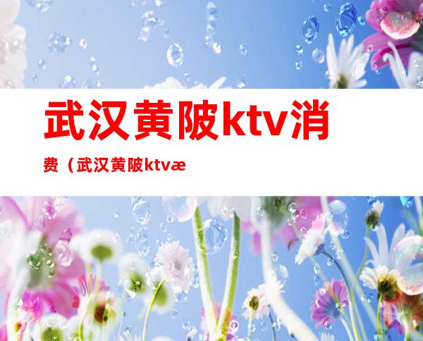 武汉黄陂ktv消费(武汉黄陂ktv消费多少)