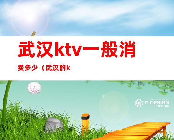 武汉ktv一般消费多少(武汉的ktv小费多少)