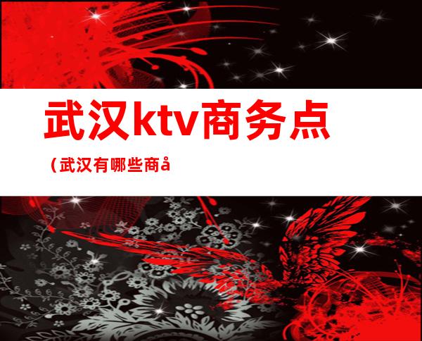 武汉ktv商务点(武汉有哪些商务ktv)
