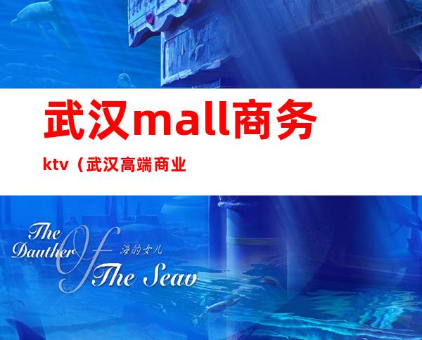 武汉mall商务ktv(武汉高端商业)