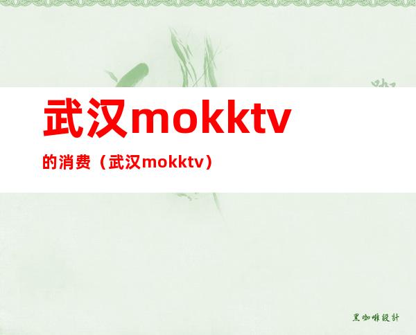 武汉mokktv的消费(武汉mok ktv)