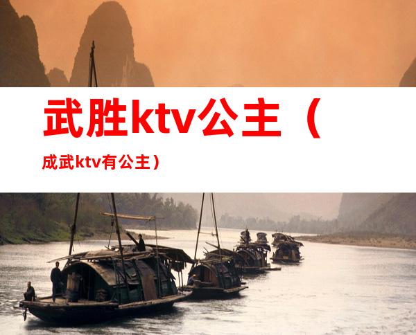 武胜ktv公主(成武ktv有公主)