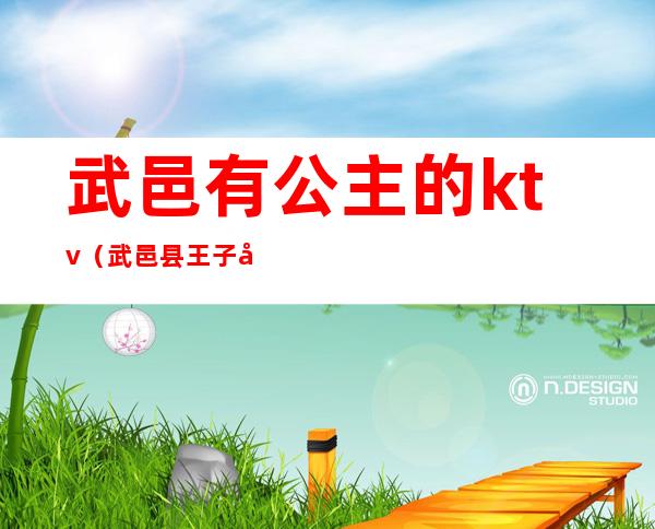 武邑有公主的ktv(武邑县王子公主)