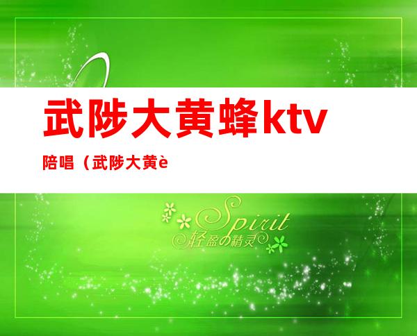 武陟大黄蜂ktv陪唱(武陟大黄蜂ktv多少)
