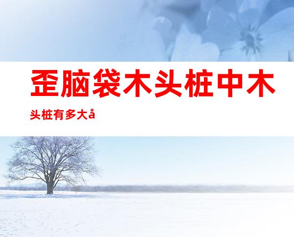 歪脑袋木头桩中木头桩有多大岁数了（歪脑袋木头桩中的木头桩有多少岁）
