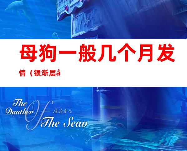 母狗一般几个月发情(银渐层几个月开始发情)