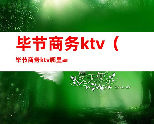 毕节商务ktv(毕节商务ktv哪里最好)
