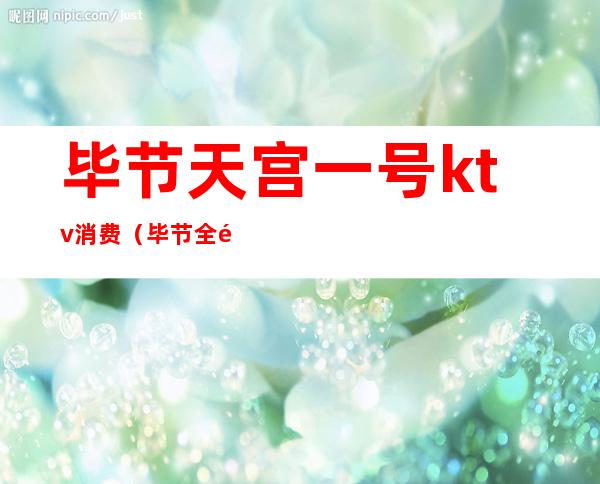 毕节天宫一号ktv消费(毕节全部KTV)