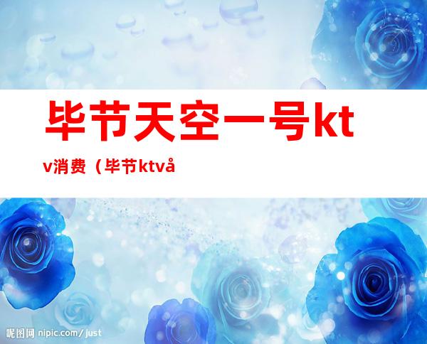 毕节天空一号ktv消费(毕节ktv哪里便宜)