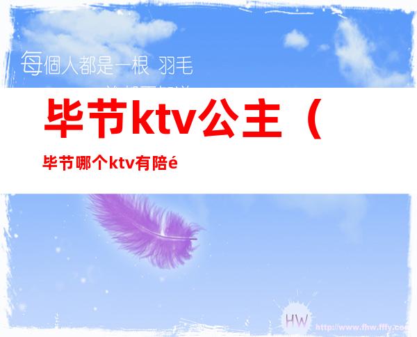 毕节ktv公主(毕节哪个ktv有陪酒的)