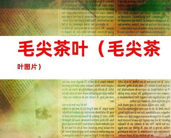 毛尖茶叶(毛尖茶叶图片)