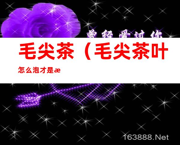 毛尖茶(毛尖茶叶怎么泡才是正确的)