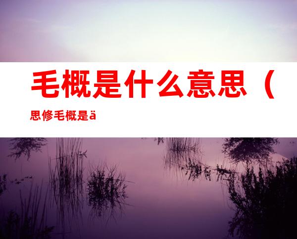 毛概是什么意思(思修毛概是什么意思)