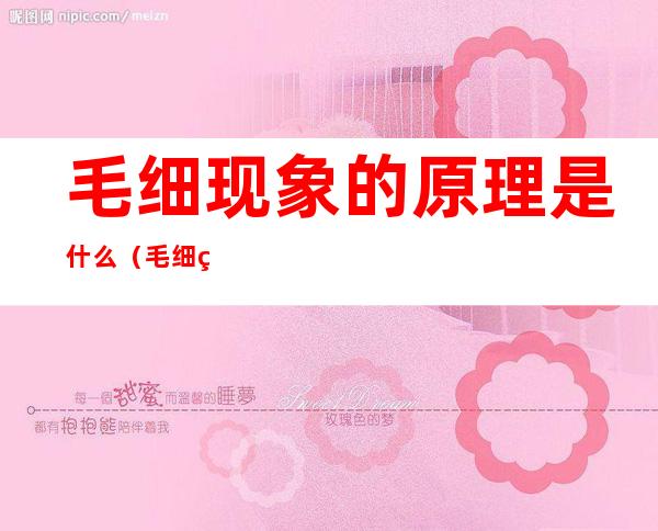 毛细现象的原理是什么(毛细现象 原理)