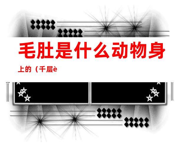 毛肚是什么动物身上的(千层肚是什么动物身上的)