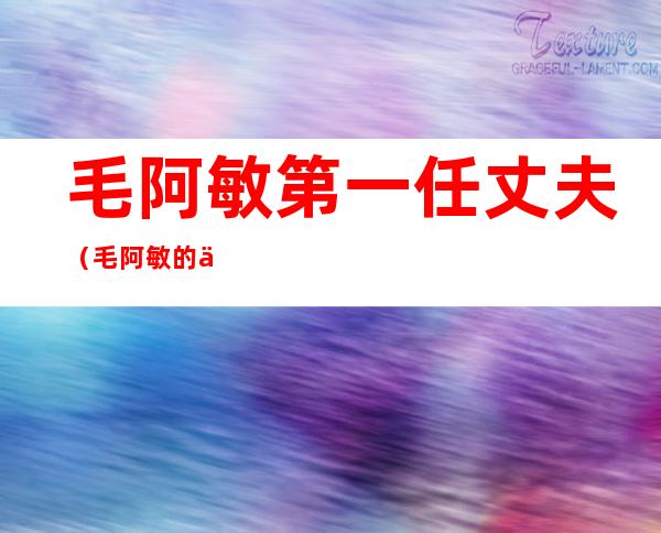 毛阿敏第一任丈夫(毛阿敏的丈夫)