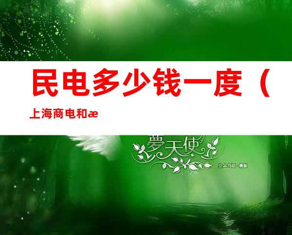 民电多少钱一度(上海商电和民电多少钱一度)