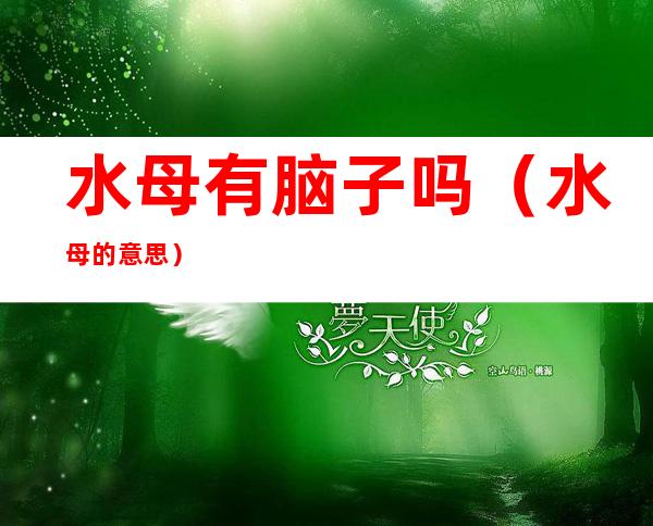 水母有脑子吗(水母的意思)