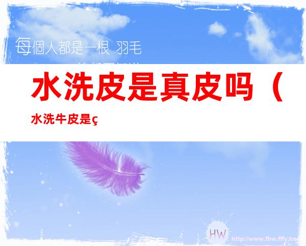 水洗皮是真皮吗(水洗牛皮是真皮吗)