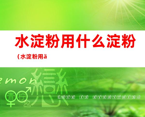 水淀粉用什么淀粉(水淀粉用什么淀粉代替)