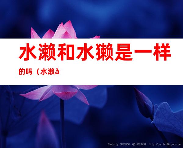 水濑和水獭是一样的吗(水濑和水獭是一样的动物么)