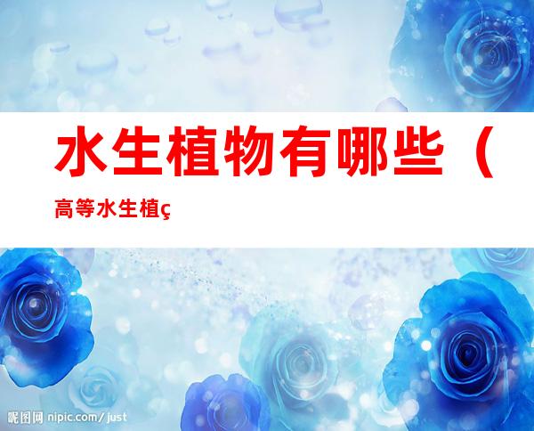 水生植物有哪些(高等水生植物有哪些)
