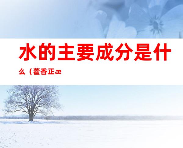 水的主要成分是什么(藿香正气水的主要成分是什么)