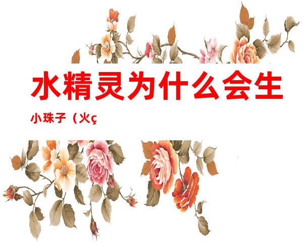 水精灵为什么会生小珠子(火灵珠和水灵珠)