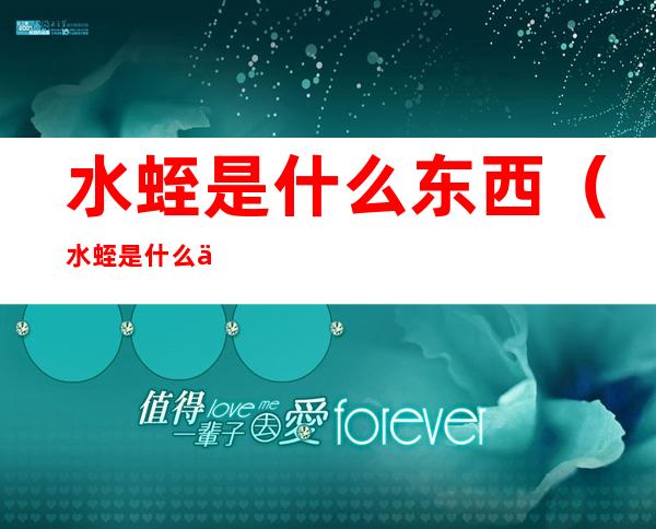 水蛭是什么东西（水蛭是什么东西做的）