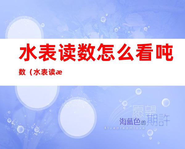 水表读数怎么看吨数(水表读数怎么看吨数还是方数)