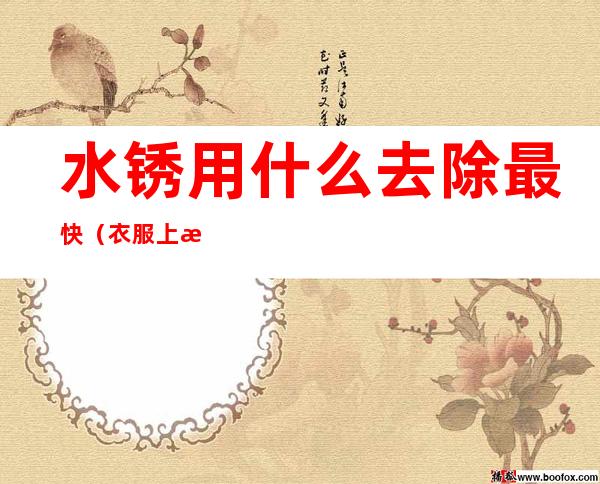 水锈用什么去除最快（衣服上水锈用什么去除最快）
