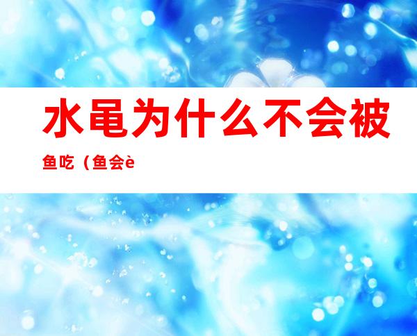 水黾为什么不会被鱼吃(鱼会被什么吃掉)
