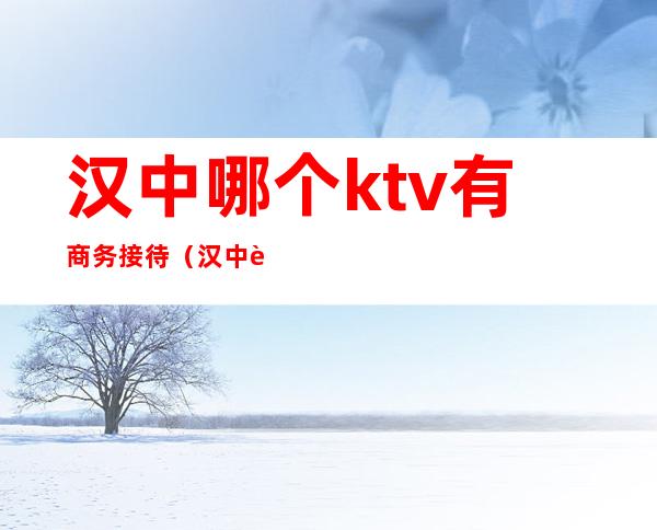 汉中哪个ktv有商务接待(汉中豪门ktv)